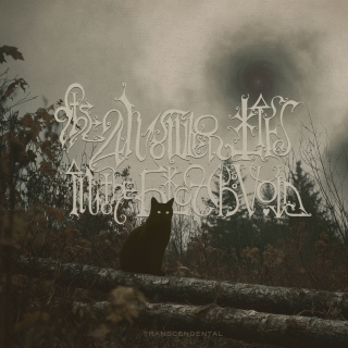 THE ANSWER LIES IN THE BLACK VOID  - Singles (ALL NOIR)